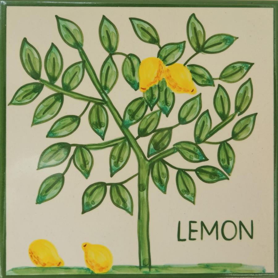 Casa Monte Cristo Apartments - Lemon Λάγος Εξωτερικό φωτογραφία